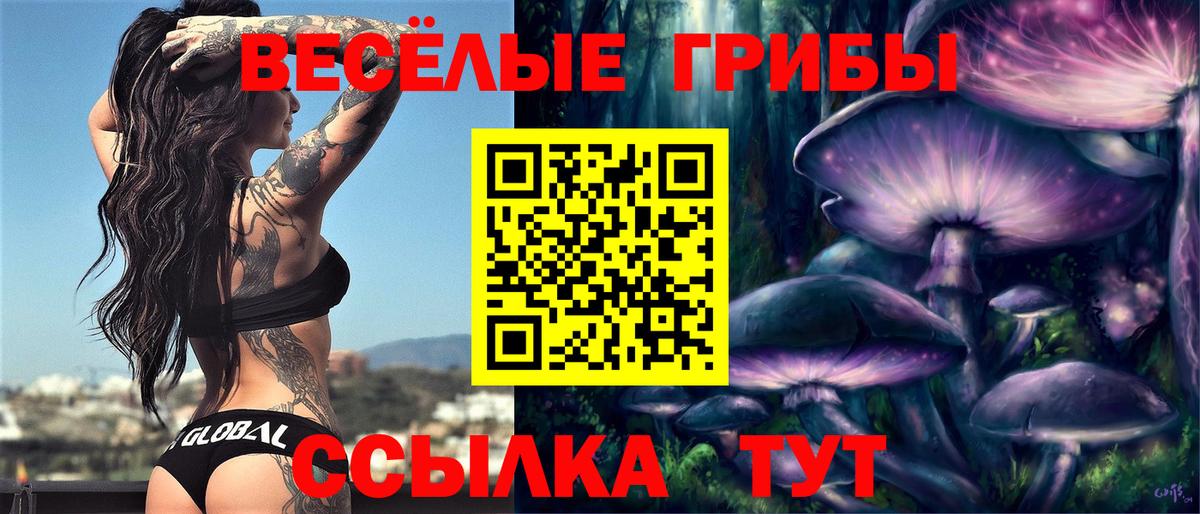 Псилоцибиновые грибы ЛСД Павловский Посад