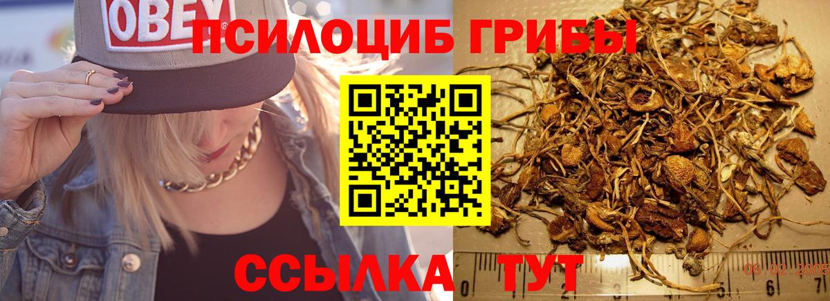 Галлюциногенные грибы Cubensis  Вход с VPN  Павловский Посад  Псилоцибиновые грибы прущие грибы 